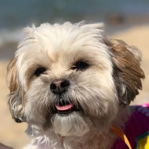 Meet your Posher, Lidia